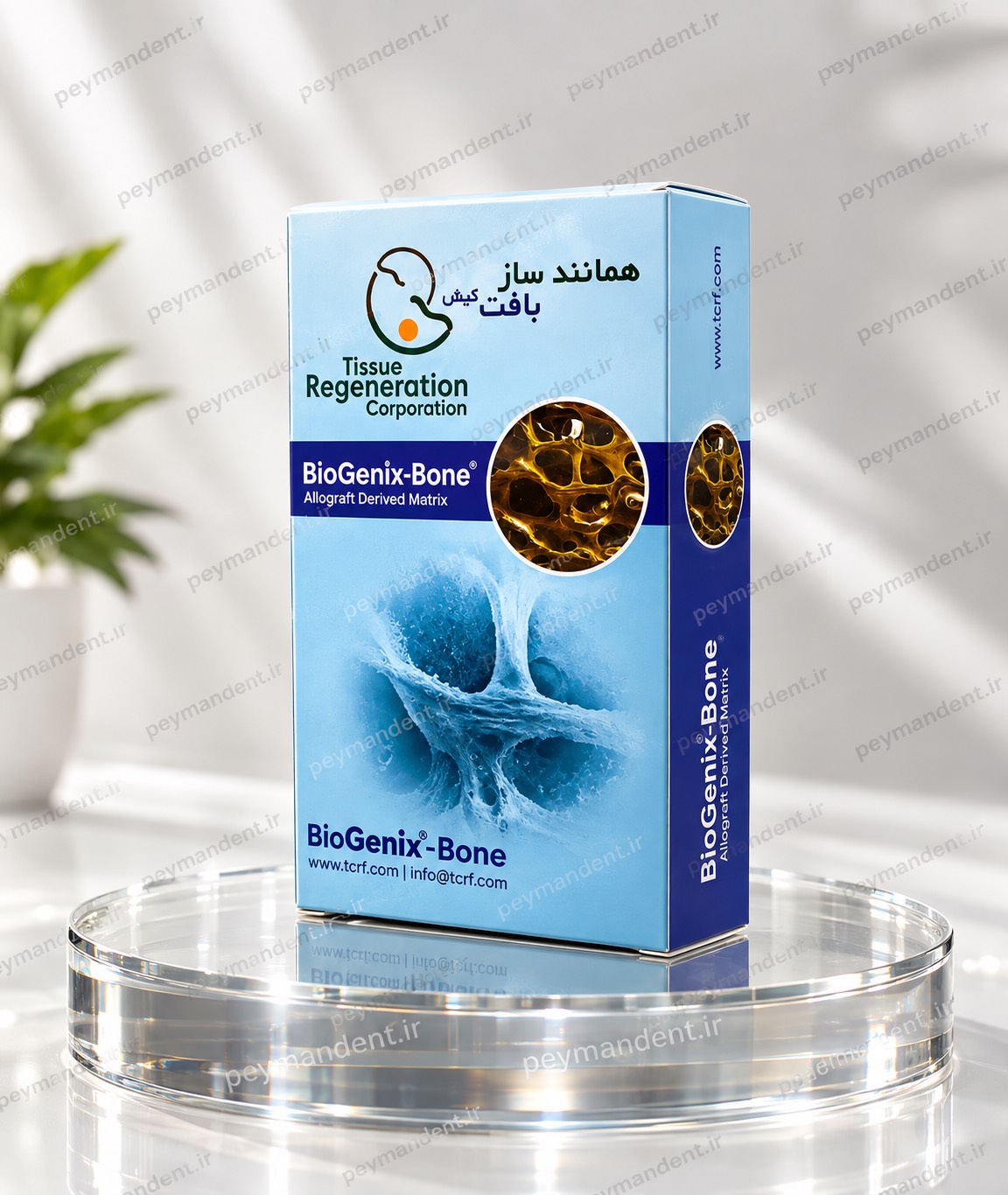 پودراستخوان 0/5CCآلوگرفت همانندساز بافت کیش سایز150 تا2000 /کدسفارش25041/بسته ی5عددی